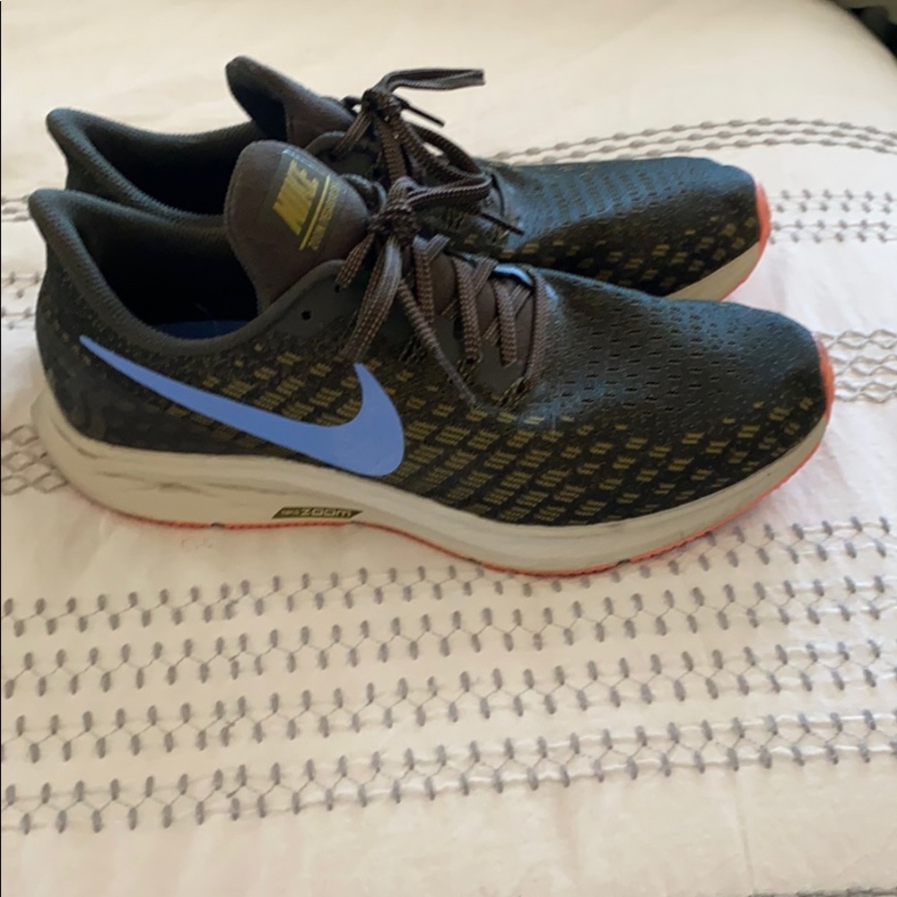 Nike Zoom Pegasus